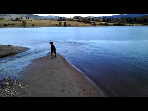 Lucy-Mae's listening to loons