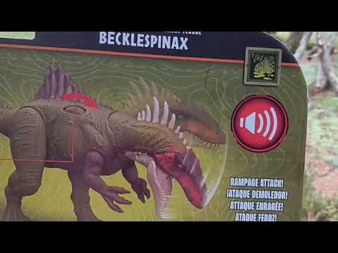 User submitted video