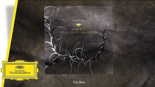 Joep Beving: Hanging D - Cello Octet Amsterdam (by Rahi Rezvani)