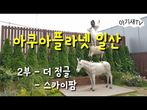 아쿠아플라넷 일산 | 더정글 | 더스카이팜 | 물고기와 동물 친구들을 만나러 출발!