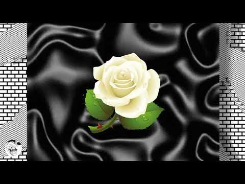 [ I ]  Laylow x Dioscure x Ikaz Boi Type Beat  "WHITE ROƵES"  (Prod. By L€Zv)