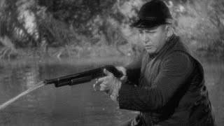 THREE STOOGES - Classic Scenes - DUCK HUNTING