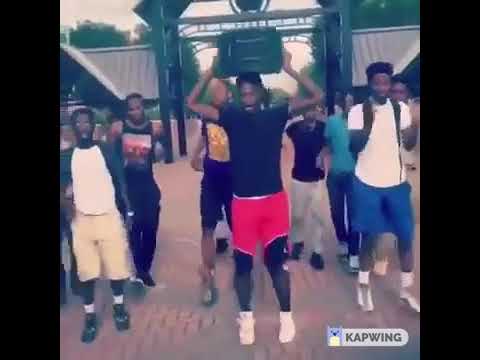 nieopublikowane nagranie lte festival