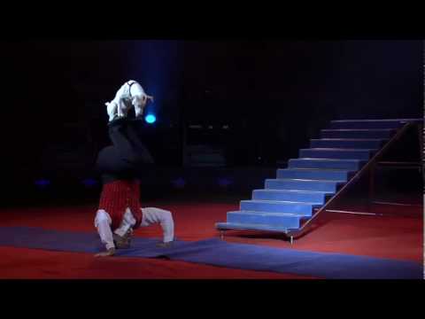 Schweizer National-Circus Knie :: Fascination 2010