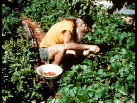 DIRT a film on NYC garden activists incl. Adam Purple