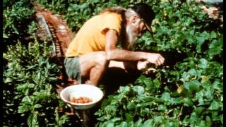 DIRT a film on NYC garden activists incl. Adam Purple
