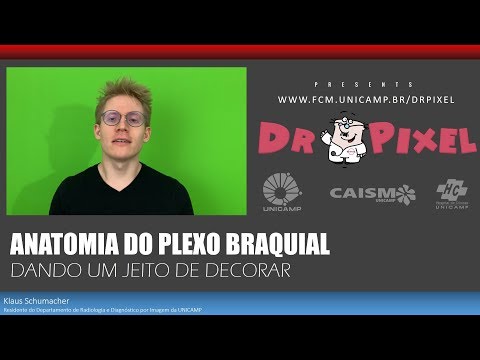 Anatomia do plexo braquial - Dando um jeito de decorar!