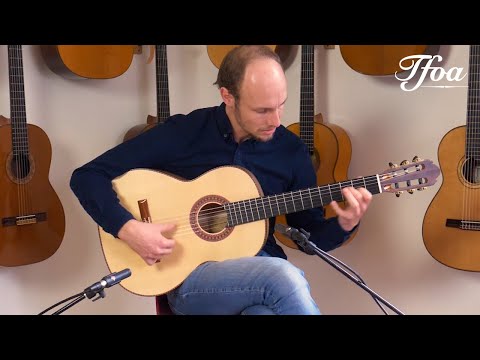 Solea | Wolfgang Jellinghaus Masterbuilt Flamenco 1A B played by Tim Panman