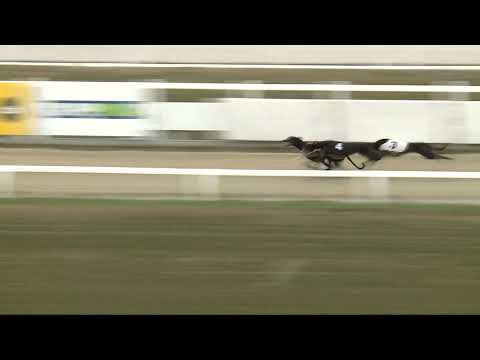 2021.12.18. 03. futam - Decemberi Trófea