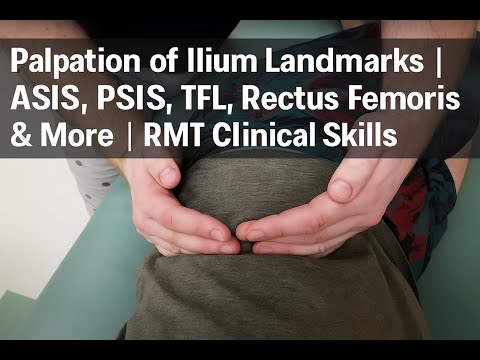 Palpation of Ilium Landmarks | ASIS, PSIS, TFL, Rectus Femoris & More | RMT Clinical Skills