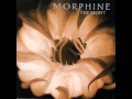 Morphine - The Night 
