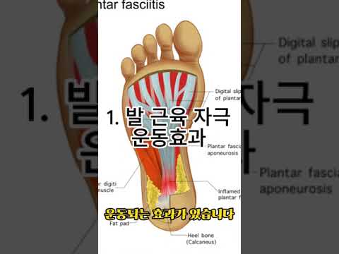 경상북도 안동시 천년숲 맨발걷기