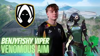 benjyfishy Viper Breeze HEADSHOT PRECISION