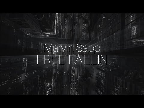 Thumbnail for Free Fallin video