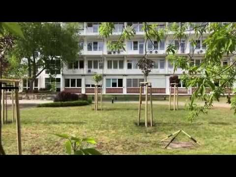 Hoyerswerda:  Neue Bäume im Krankenhauspark - LAUSITZWELLE