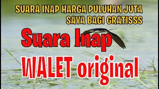 Download lagu SUARA INAP WALET ORIGINAL - GRATIS mp3 Download lagu SUARA INAP WALET ORIGINAL - GRATIS mp3