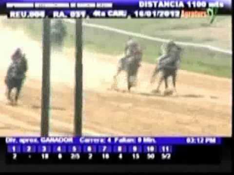 Resumen Lunes, 16 de Enero de 2012 - Rancho Alegre