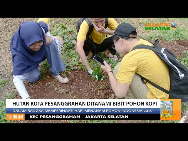 Hutan Kota Pesanggrahan Ditanami Bibit Pohon Kopi