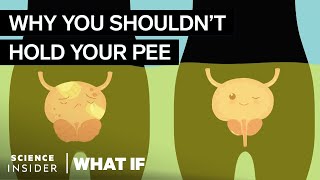 What Happens If You Hold Your Pee In For Too Long