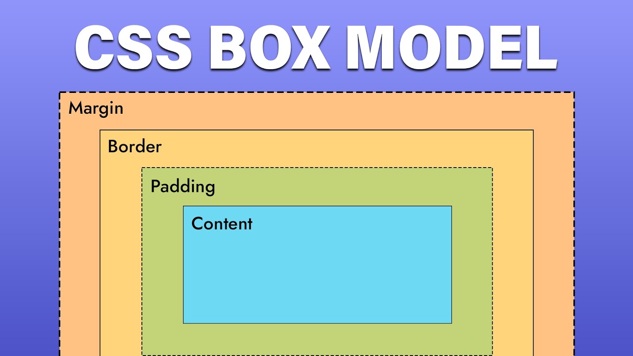 CSS Box Model Made Simple: Learn Margin, Padding & Border Like a Pro