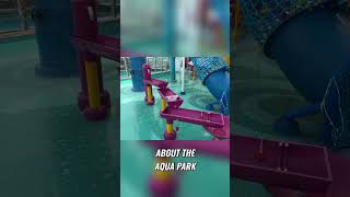 Cruise Ship with Go Karts, Laser Tag & Waterpark!   #ncl #bliss #cruise #fyp