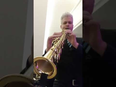 Can You Feel the love tonight - Fabio Costa Sax Cover