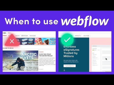 Learn Webflow Ultimate Beginner Crash Course