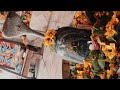 New Shiv Vlog New Punjabi Bajan Status 2022 Master Saleem Song Shiv Mere