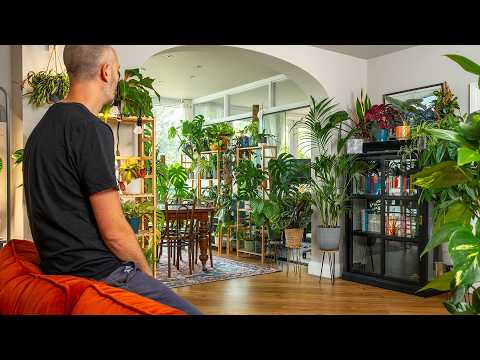 10 Plants That Make Your Home Feel Calm