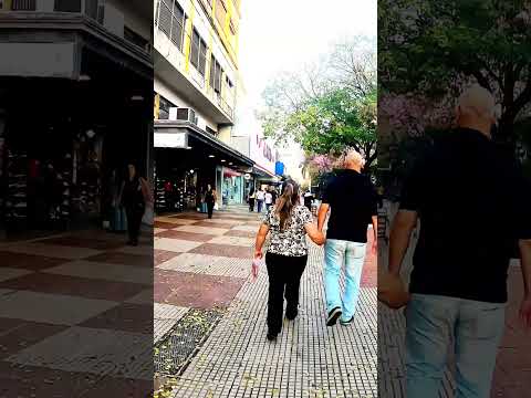 Un día tranquilo en el centro de Resistencia: Paseando por la Peatonal Perón 🇦🇷🔥