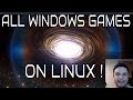 Space Engine All Windows Games On Linux Steam S New Crazy Update
