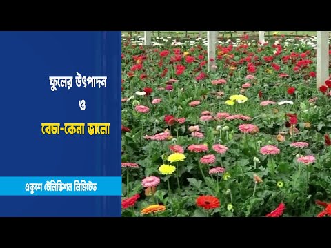 ফুলের রাজ্য উৎফুল্ল