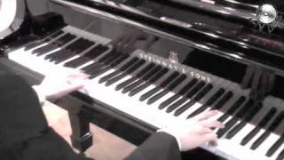 The River Flows In You - A Twilight Trance Cover by LNBP