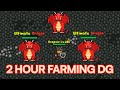 RUCOY ONLINE 2H FARM DG 04