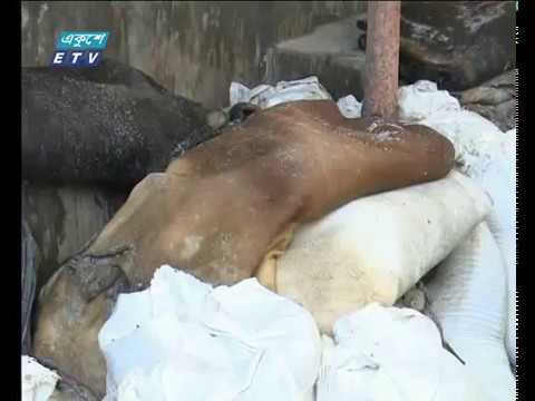 সরকারের নির্ধারিত মূল্যে চামড়া কিনছেন চট্টগ্রামের ট্যানারি মালিকেরা