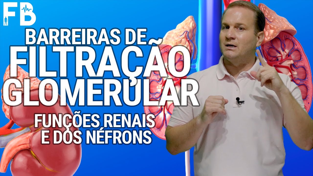 Barreiras de filtração glomerular: Funções renais e dos néfrons - #Aula 2