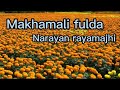 Makhamali fulda marsi dhan  Cover songs by Resham Bk #narayan rayamajhi#Coversongs #happytihar#2079
