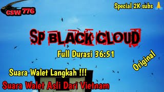 Download lagu VIETNAMESE SWALLOW KING CALL SOUND || SP BLACK CLOUD ORIGINAL mp3