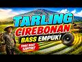 JUARANYA TARLING CIREBONAN INDRAMAYU LAGU PANTURA TERLARIS DAN TERPOPULER