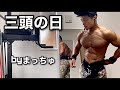 Arm day! 三頭に全集中。まっちゅと解説