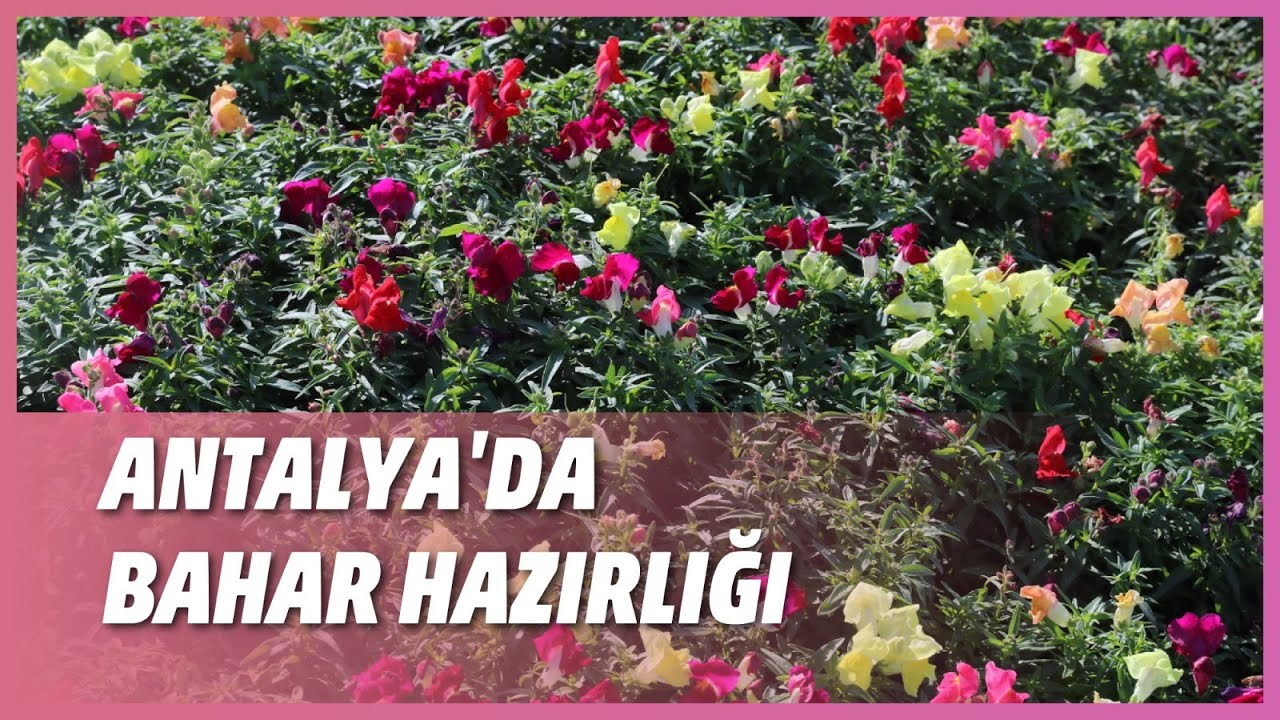 ANTALYA'DA BAHAR HAZIRLIĞI