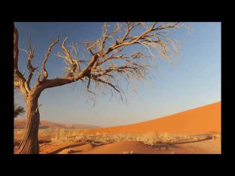 NikiEraEarth3th - Soul beauty IV