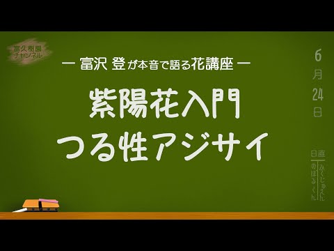 冬に凍らないつる性植物の選び方は？  庭園