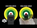 Handgun Aiming Sight Picture One Eye Vs Two Eyes Front Sight Aiming Vs Point Shooting
