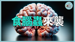 [問卦] 為什麼一堆人敢去游泳池
