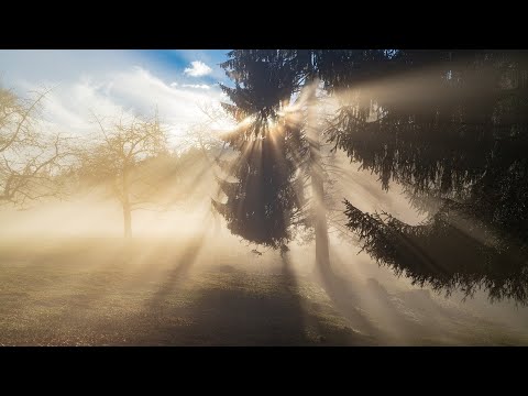 Meleket - Krijesat prej drite