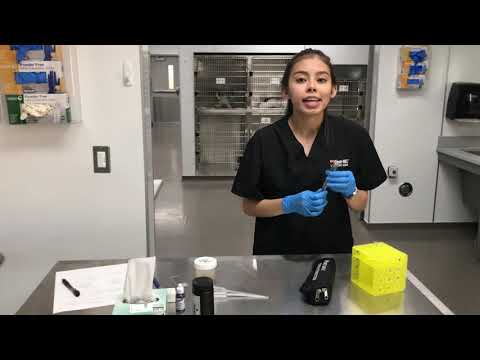 Clinical Specialty - Urinalysis in Veterinary Science