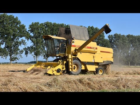 New Holland TX32 - Loonw. Neyt-Van Laere - graszaad dorsen
