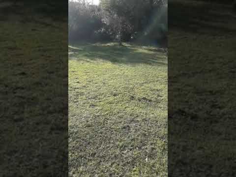 Río cebollati Paso Averías