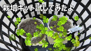 初婚夫婦の初めてのGWの過ごし方
